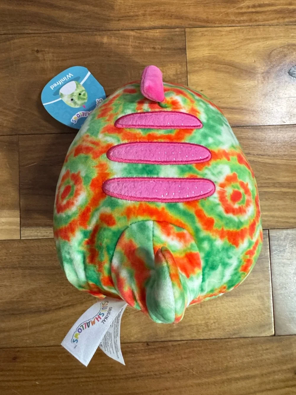 Squishmallow! Winifred the Gecko